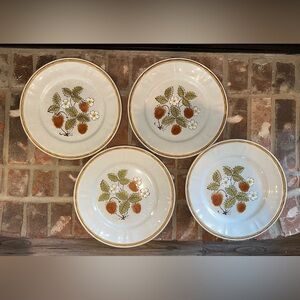 Americana Hearthside Berries'n Cream Dinner Plates 10.5" Set of 4